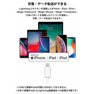 apple TypeC Lightningケー...の詳細画像3