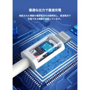 apple TypeC Lightningケー...の詳細画像4