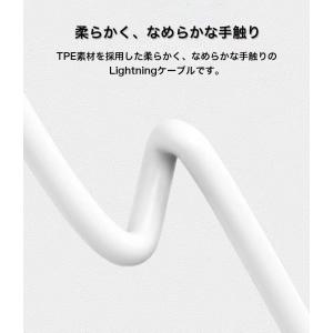apple TypeC Lightningケー...の詳細画像5