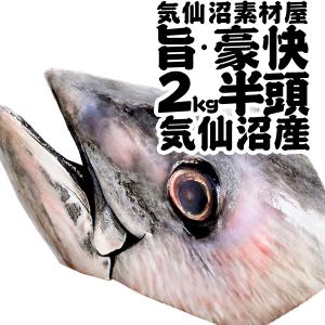本まぐろ 半頭 ２kg以上 キャンプ バーベキュー食材