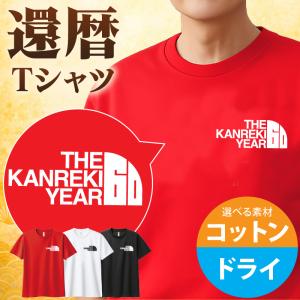 松井秀喜 Tシャツ ワールドシリーズ MVP 2009 ヤンキース 55