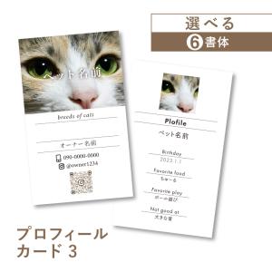 名刺 写真 ペット名刺 プロフィール カード インスタ QR ショップカード 縦型 縦 簡単 カラー うちのこ おしゃれ かわいい 犬 猫 ペット meishi-pro3