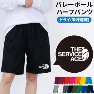 ハーフパンツ バレーボール 卒業 卒団 記念品 プレゼント 練習着 ユニフォーム 吸汗 速乾 部活 チーム ドライ