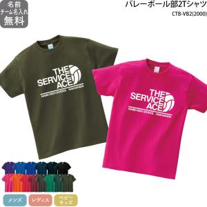 バレー バレーボール Tシャツ 練習着 部活 チーム ユニフォーム チーム名 チーム名入り 半袖 カラー  オリジナル プリント 名入れ CTB-VB2