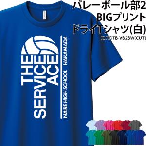 ドライTシャツ バレーボール クラブ 部活 サークル チーム ユニフォーム トレーニングウェア 練習着 ビッグプリント UVカット CUTDTB-VB2BW｜k-uniform