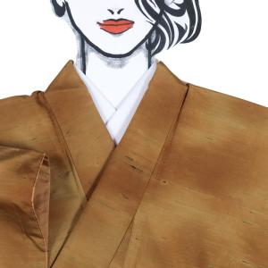 紬着物 単衣 浮き織 めがね織 付下げ柄 正絹 灰薄茶色 広衿 未使用品 20倍ポイント｜歳末大還元祭】【中古】 単衣着物 紬単衣 紬 単衣