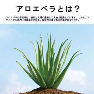 FLP アロエベラジュース フォーエバーリビン...の詳細画像2