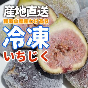 訳あり ご家庭用 フルーツ王国 和歌山県産 産地直送 冷凍いちじく 1.0kg クール便 送料無料