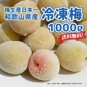 リーウェイ パーティア プラセンタ 60粒 RIWAY PURTIER PLACENTA 期限