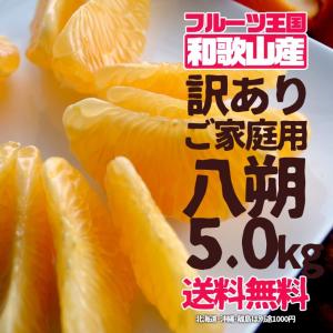 八朔 はっさく 訳あり ご家庭用 5kg（箱込約5kg） 送料無料｜k-yorozuya