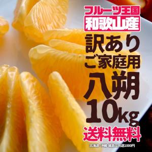 八朔 はっさく 訳あり ご家庭用 10kg（箱込約10kg） 送料無料