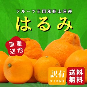 はるみ 訳あり ご家庭用  フルーツ王国和歌山県産 大小混合サイズ 箱込み約5kg 送料無料｜k-yorozuya