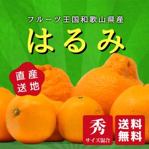 はるみ 優・秀品 フルーツ王国和歌山県産 大小混合サイズ 箱込み約10kg 送料無料