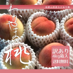 リーウェイ パーティア プラセンタ 60粒 RIWAY PURTIER PLACENTA 期限
