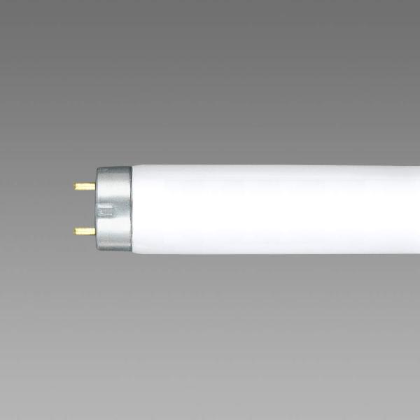 ホタルクス(HotaluX) NECライティング NEC FL6D