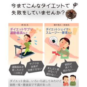 激辛ラーメン ダイエット こんにゃくラーメン ...の詳細画像2