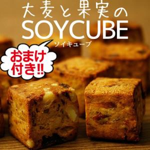 ダイエット食品 ダイエット ドライフルーツ ミックス フルーツ スイーツ 満腹 ヘルシー 低カロリー 大豆 おやつ 325089