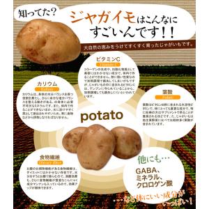 じゃがチップス 600g パリパリ せんべい ...の詳細画像4