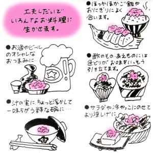 リニューアル 削りかまぼこ 1袋 お取り寄せグ...の詳細画像5
