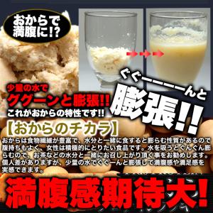おからクッキー 1000g 健康 置き換え ダ...の詳細画像5
