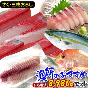 鮮魚ボックス 三枚おろし 鮮魚セット 下処理 直送 産地直送 詰め合わせセット 鮮魚 鮮魚BOX さく 詰め合わせ 柵 お取り寄せ 刺身 新鮮 【送料無料】 325197-7880