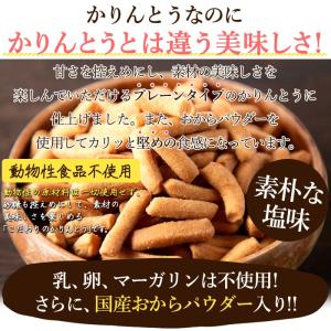 お試し 国産 かりんとう 塩味 250g 堅あ...の詳細画像1