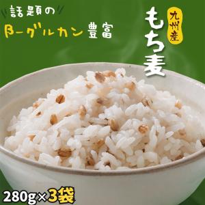 九州産 もち麦 ダイシモチ 3袋セット 840g（280g×3） 国産 大麦 β-グルカン 食物繊維 外皮付き 雑穀 もち麦ごはん ぷちぷち食感 ダイエット まとめ買い