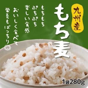 九州産 もち麦 ダイシモチ 3袋セット 840...の詳細画像1