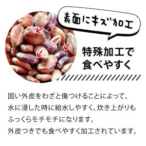 九州産 もち麦 ダイシモチ 3袋セット 840...の詳細画像4