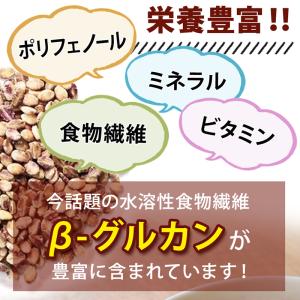 九州産 もち麦 ダイシモチ 3袋セット 840...の詳細画像5
