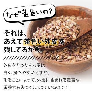 九州産 もち麦 ダイシモチ 4袋セット 112...の詳細画像3