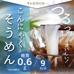 2個セット こんにゃくそうめん 蒟蒻麺 こんに...の詳細画像4