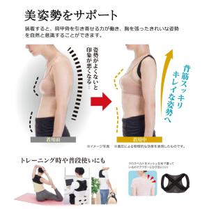 体幹加圧 背筋矯正ベルト 姿勢矯正 インナー ...の詳細画像2