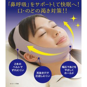 【メール便送料無料】薄型 ナイトサイレンサー ...の詳細画像1