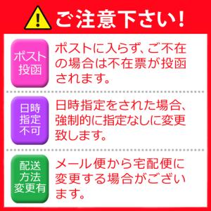 【メール便送料無料】薄型 ナイトサイレンサー ...の詳細画像5