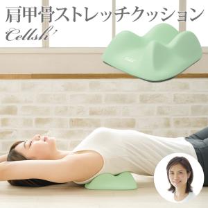 ストレッチハーツ ソフト ＆ ターボ セット ／ 保阪尚希プロデュース