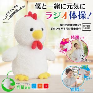 体操コッコちゃん 音声認識 真似する ぬいぐる...の詳細画像1