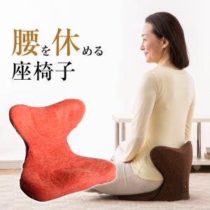 ドイツ レッド ドット賞受賞製品】姿勢サポート 椅子【2024最新昇級