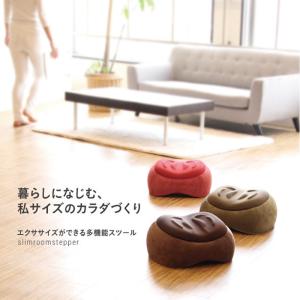 Dr.Caviet Ghost ドクターキャビエットゴースト plus [ボディ1本付