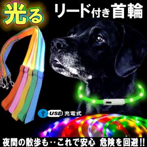 首輪 犬 犬首輪 犬用 散歩 ライト 光る首輪 首輪リード セット 小型犬 中型犬 大型犬 夜間 安全首輪 充電式