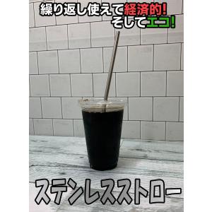 ステンレスストロー　ブラシ付　エコ　マイストロー　金属製　繰り返し　使える　マドラー　エコストロー