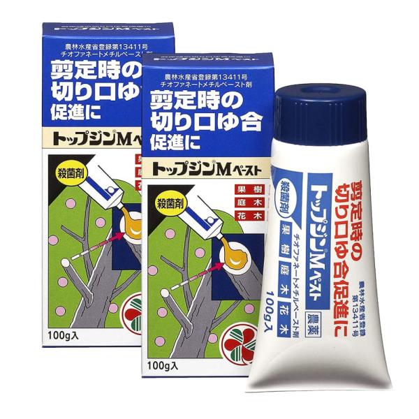 トップジンM ペースト 100g×2本 農薬 住友化学園芸