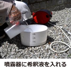ムカデ 駆除 カメムシ 駆除 サイベーレ0.5...の詳細画像3