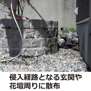 ムカデ 駆除 カメムシ 駆除 サイベーレ0.5...の詳細画像4