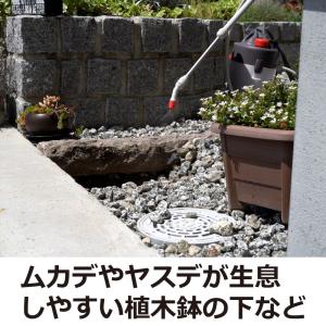 ムカデ 駆除 カメムシ 駆除 サイベーレ0.5...の詳細画像5