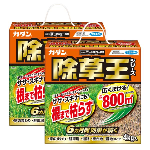 除草剤 予防 効果 オールキラー粒剤 4kg×2箱 カダン 除草王 農薬 ササ スギナ フマキラー