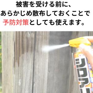 シロアリ 退治 対策 シロアリアタッカーEX ...の詳細画像4