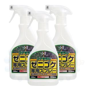 コケ駆除 コケそうじゼニゴケ専用スプレー 500ml×3本 非農耕地用｜ka-dotcom