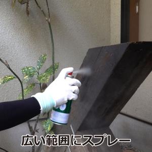キクイムシ 駆除 エバーウッドP-400 42...の詳細画像1