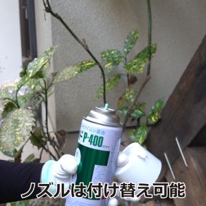 キクイムシ 駆除 エバーウッドP-400 42...の詳細画像2
